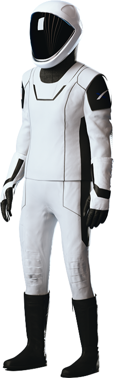 The Suit
